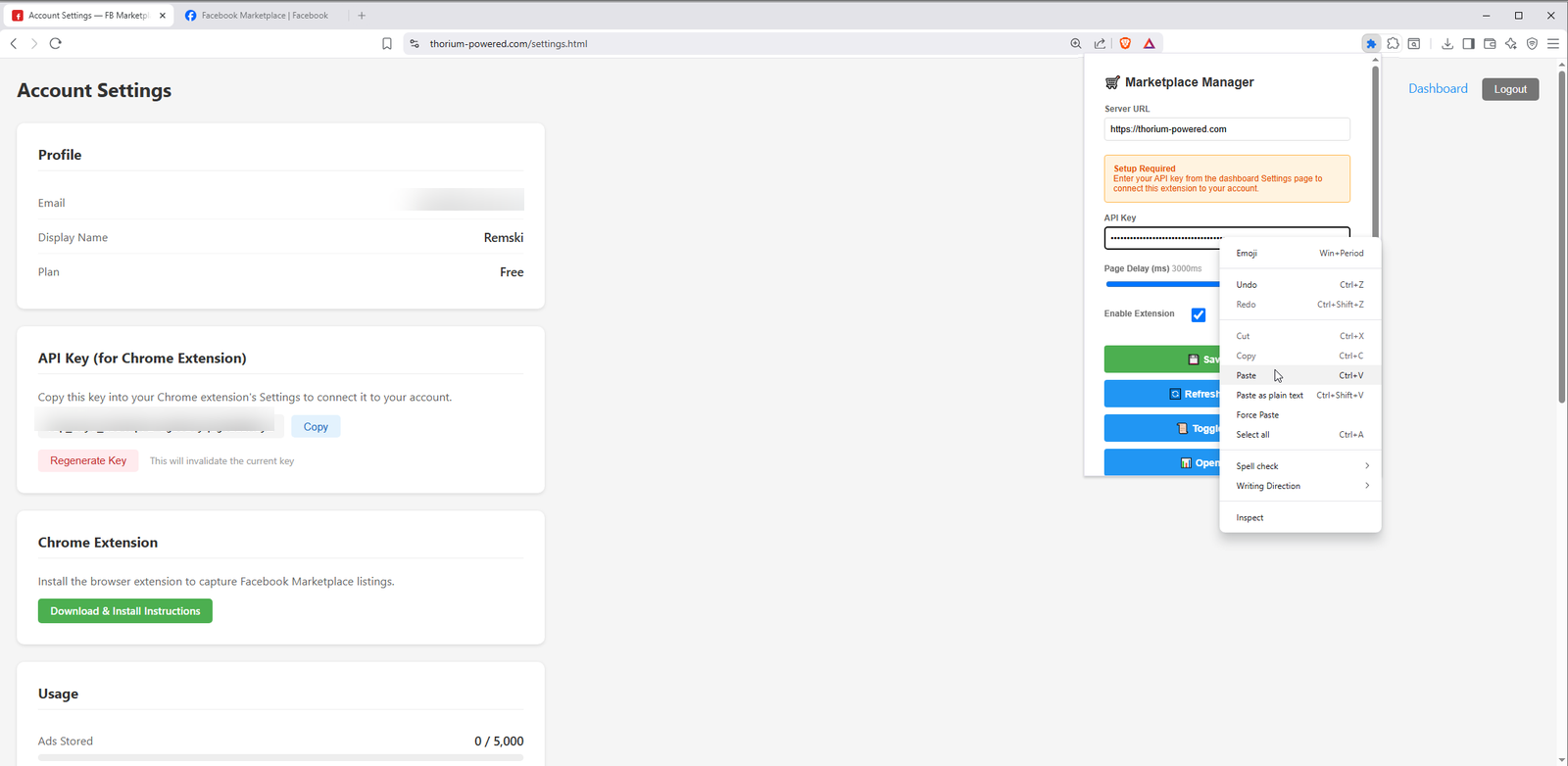Pasting API key into extension popup